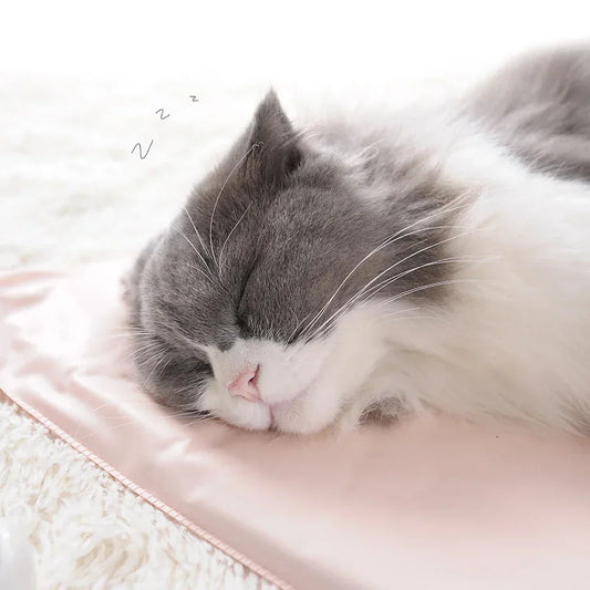 Winter Pet Heating Blanket – Waterproof Wearable Warm Cat & Dog Mattress